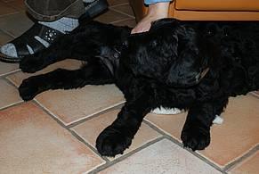 Click on the photo for the original