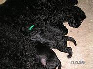 Click on the photo for the original