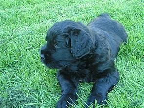 Click on the photo for the original