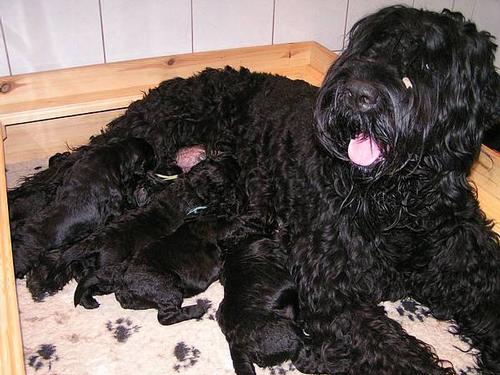 Click on the photo for the original