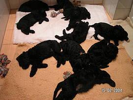 Click on the photo for the original