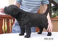 Click on the photo for the original