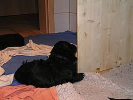 Click on the photo for the original