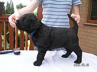 Click on the photo for the original