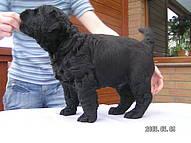 Click on the photo for the original