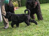 Click on the photo for the original