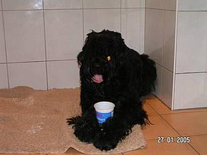 Click on the photo for the original