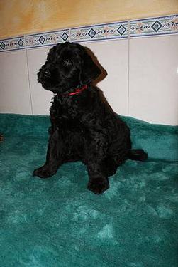 Click on the photo for the original