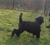 Click on the photo for the original