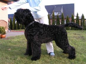 Click on the photo for the original