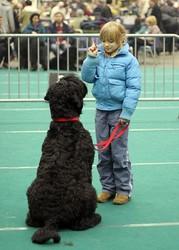 Click on the photo for the original