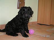 Click on the photo for the original