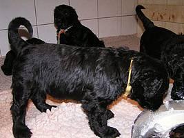 Click on the photo for the original