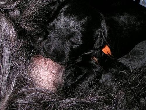 Click on the photo for the original