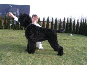 Click on the photo for the original