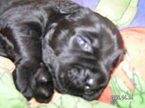 Click on the photo for the original