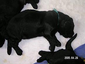 Click on the photo for the original