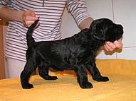 Click on the photo for the original