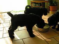 Click on the photo for the original