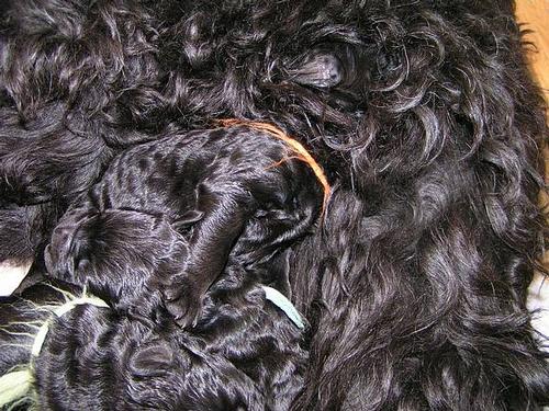 Click on the photo for the original