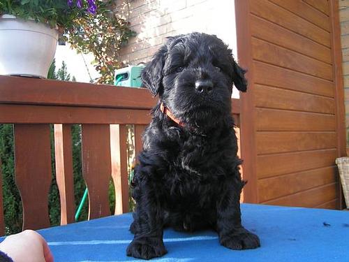 Click on the photo for the original