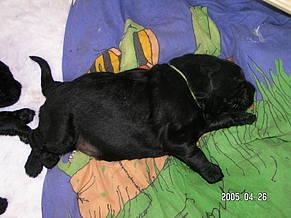 Click on the photo for the original