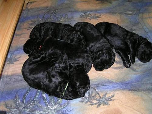 Click on the photo for the original