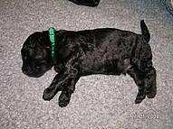 Click on the photo for the original