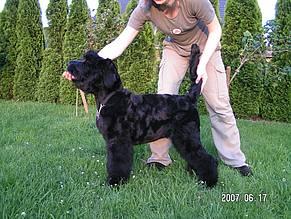 Click on the photo for the original