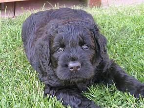 Click on the photo for the original