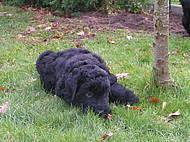 Click on the photo for the original