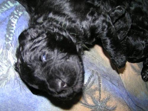 Click on the photo for the original