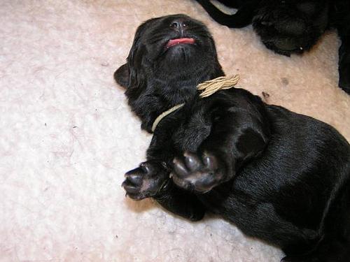 Click on the photo for the original