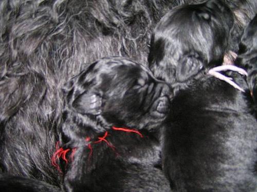 Click on the photo for the original