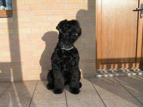 Click on the photo for the original