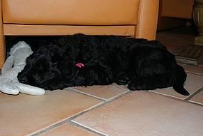 Click on the photo for the original