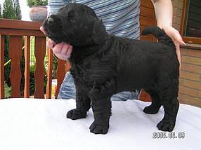 Click on the photo for the original