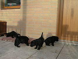 Click on the photo for the original