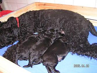 Click on the photo for the original