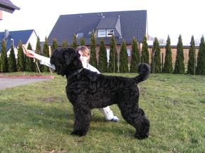 Click on the photo for the original