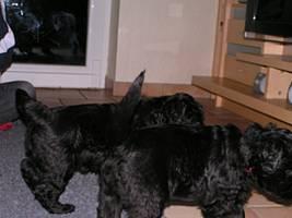 Click on the photo for the original