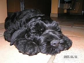 Click on the photo for the original