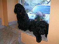 Click on the photo for the original