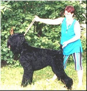 Click on the photo for the original