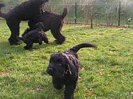 Click on the photo for the original