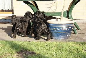 Click on the photo for the original