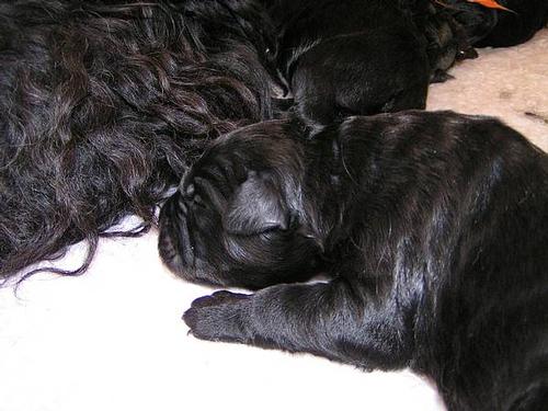 Click on the photo for the original