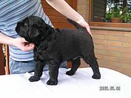 Click on the photo for the original