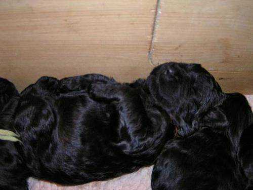 Click on the photo for the original