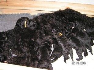 Click on the photo for the original